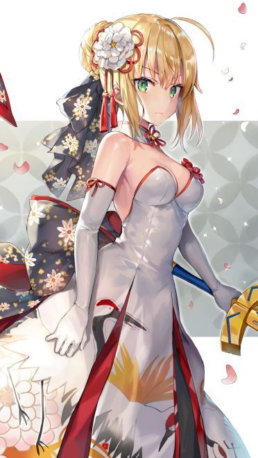 fate 本子h图包(1)