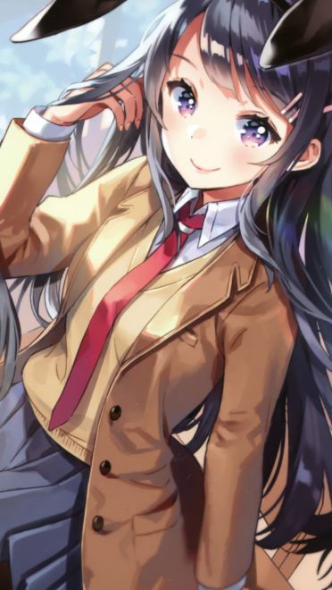 青春期笨蛋不做兔女郎学姐手机壁纸