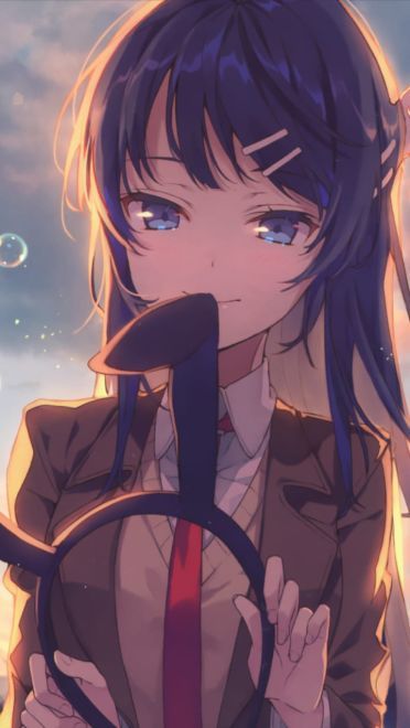 青春期笨蛋不做兔女郎学姐手机壁纸