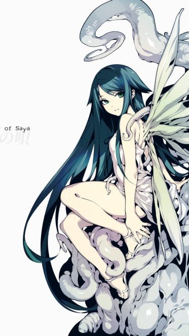 P站热门插画 壁纸排行0821