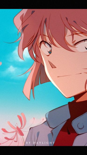 名侦探柯南 电脑壁纸