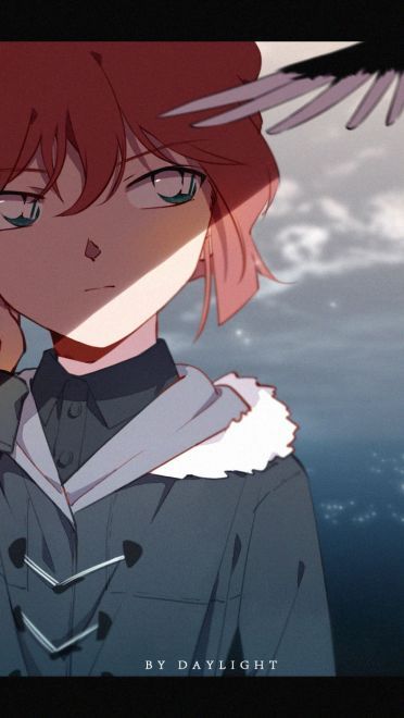 名侦探柯南 电脑壁纸