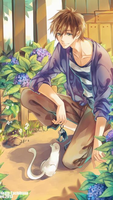 Free!男子游泳部 动漫手机壁纸