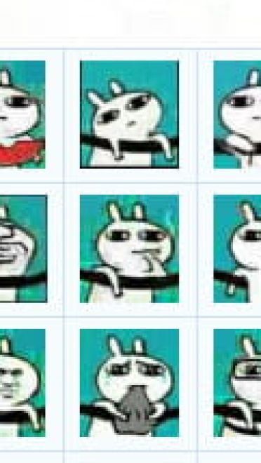 无节操神奇的兔子 QQ表情