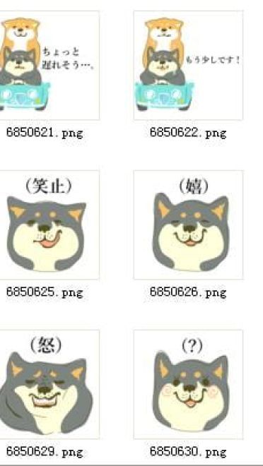 短腿小柴犬 QQ表情 萌的不要不要的