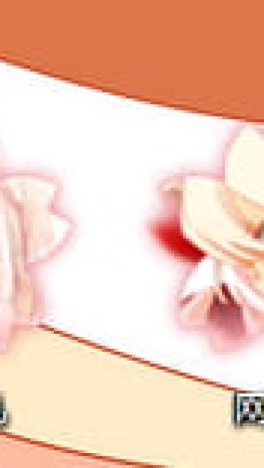 藤原妹红 win7 东方Project