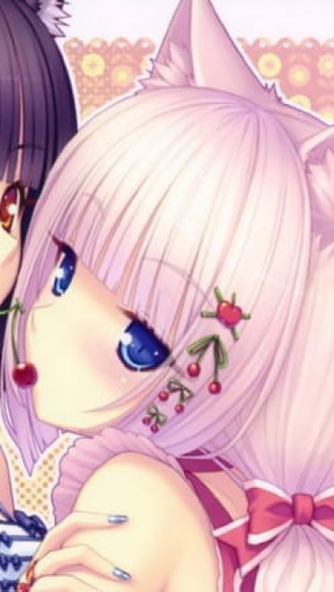 【安卓萌化】巧克力与香子兰 白猫香子兰安卓