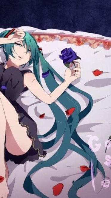 青春年华 桌面壁纸 花一样的少女