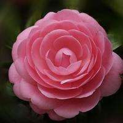 小学生头像，初中生头像，高中生头像，大学生头像，老年头像