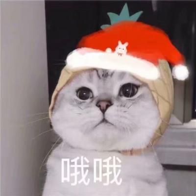 哦哦 看我的圣诞帽好不好看 不同颜色的圣诞帽