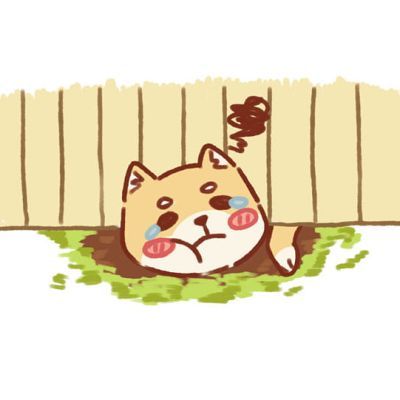 花式被卡的柴犬 可爱的柴犬头像