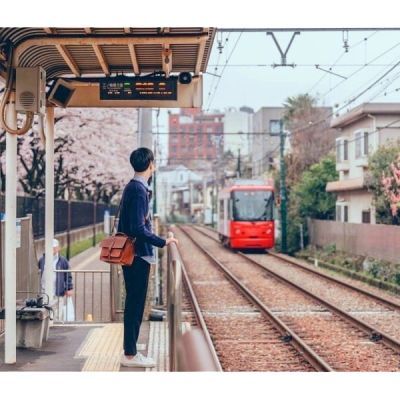 小清新日系樱花头像