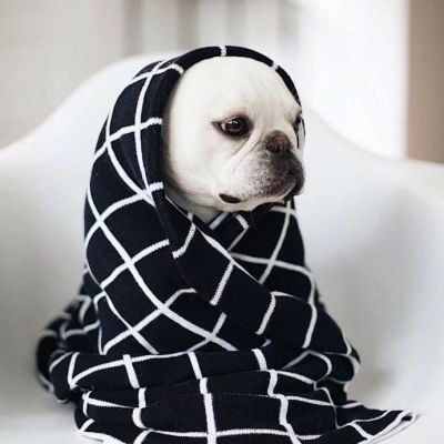 赖床是对冬天的基本尊重 狗子qq头像