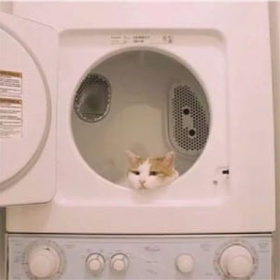 天干物燥 小心她闹 动漫qq情侣头像