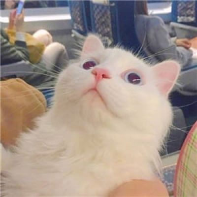 天干物燥 小心她闹 动漫qq情侣头像