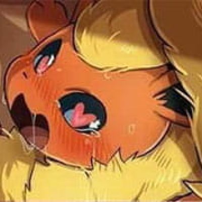 精灵宝可梦 伊布 皮卡丘 表情包