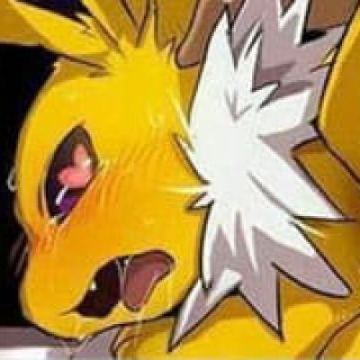 精灵宝可梦 伊布 皮卡丘 表情包