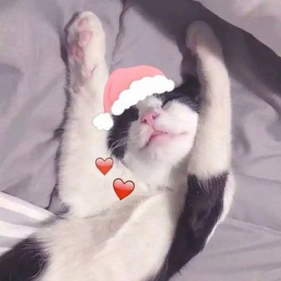 喜欢才不需要欲擒故纵 卡通动漫qq情侣头像