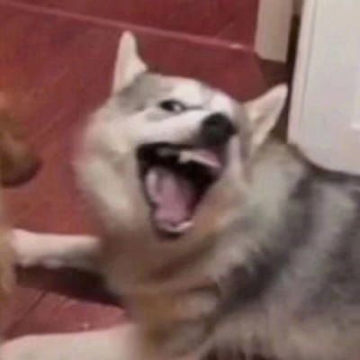 你看这个人 嘴里说喜欢我 又让我难过 ​​​​ 卡通动漫qq情侣头像