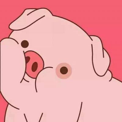 可爱的小猪头像