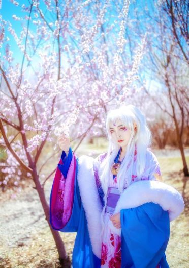 犬夜叉 凌月仙姬 cos正片