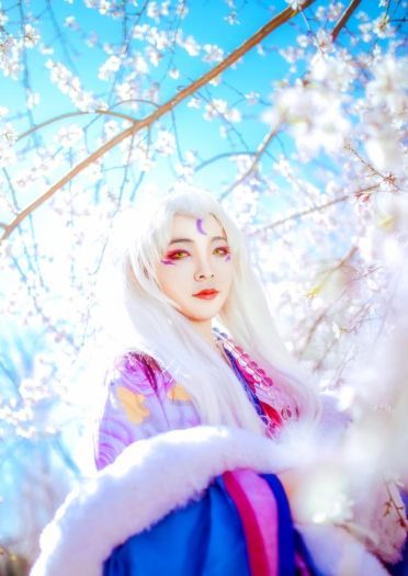 犬夜叉 凌月仙姬 cos正片