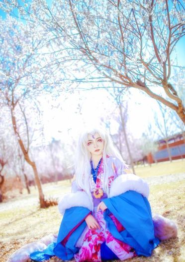 犬夜叉 凌月仙姬 cos正片