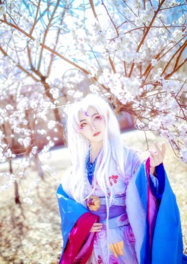 犬夜叉 凌月仙姬 cos正片