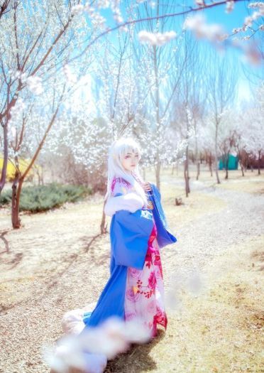 犬夜叉 凌月仙姬 cos正片