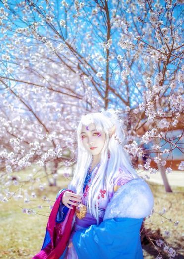 犬夜叉 凌月仙姬 cos正片