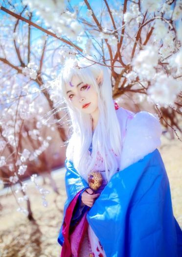 犬夜叉 凌月仙姬 cos正片