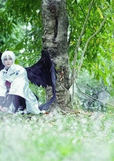 别丢下我，黑晴明大人 阴阳师手游大天狗cos