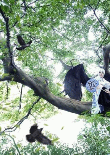 别丢下我，黑晴明大人 阴阳师手游大天狗cos