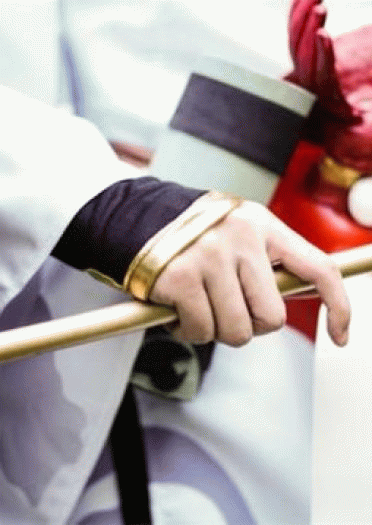 别丢下我，黑晴明大人 阴阳师手游大天狗cos