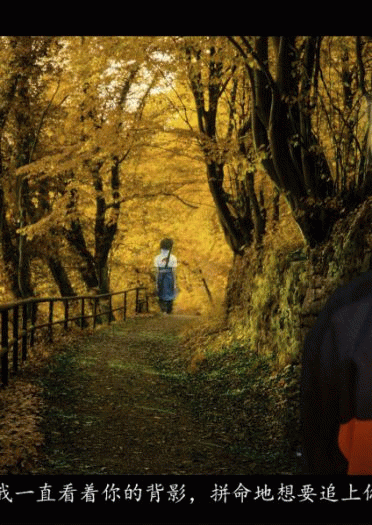 【COS正片】「NARUTO & SASUKE 」ナルト·サスケ——