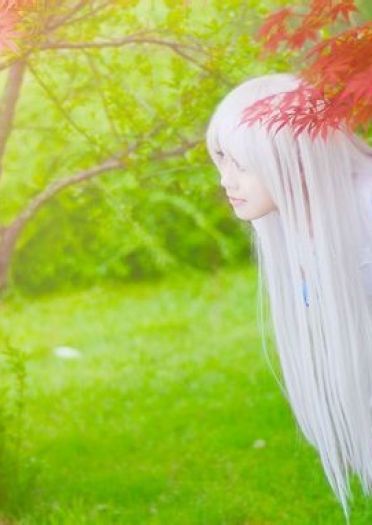 【COS】我们仍未知道我们那天所看见的花的名字