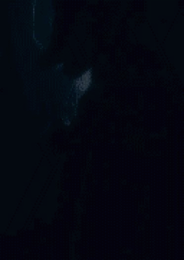 【COS】#这个是僵尸吗？-优库里伍德#