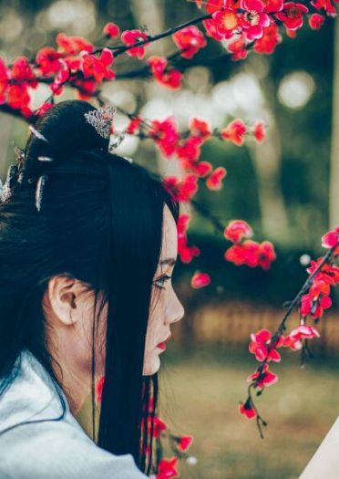 【授权COS】三生三世十里桃花——白浅