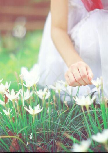 【授权cos】罪恶王冠 楪祈&真名