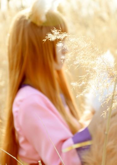 狼与香辛料 赫萝cos