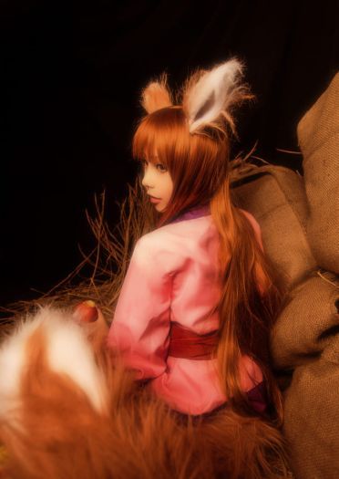 【授权】狼与香辛料 贤狼赫萝 超还原cos