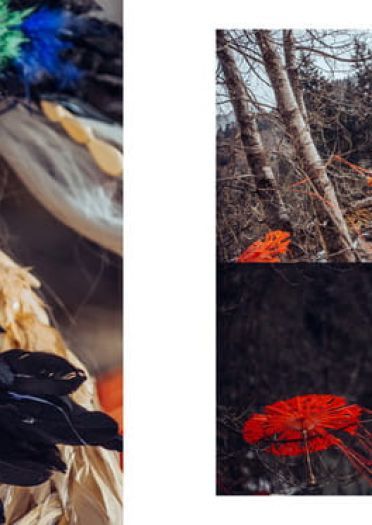 阴阳师手游 姑获鸟 金銮鹤羽皮肤 cosplay(1)