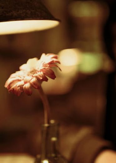 这个杀手不太冷 玛蒂尔达 cosplay(1)