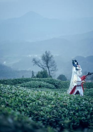 网易手游阴阳师 姑获鸟 金鸾鹤 cosplay(1)