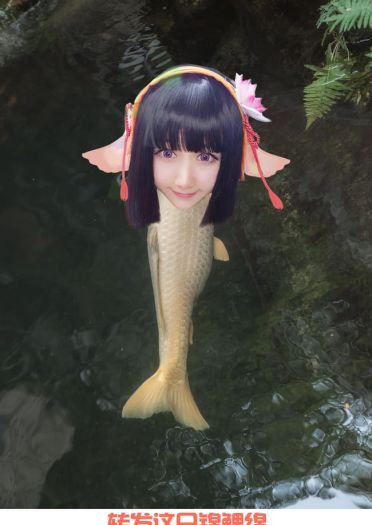好运锦鲤 网易手游阴阳师 鲤鱼精 超可爱cosplay(1)