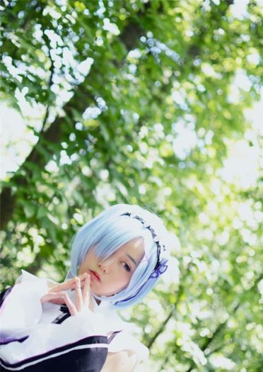 你的女仆掉到了森林里