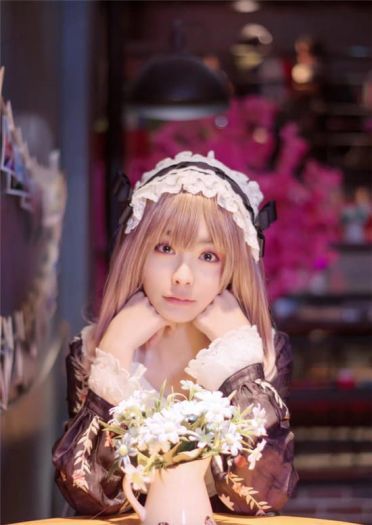 洛丽塔松林物语