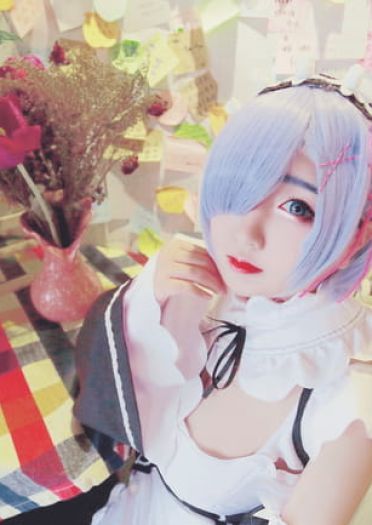 雷姆拉姆 咕咕咕鸽王回归