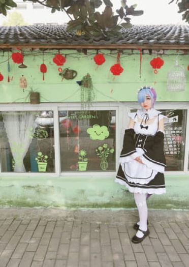 雷姆拉姆 咕咕咕鸽王回归