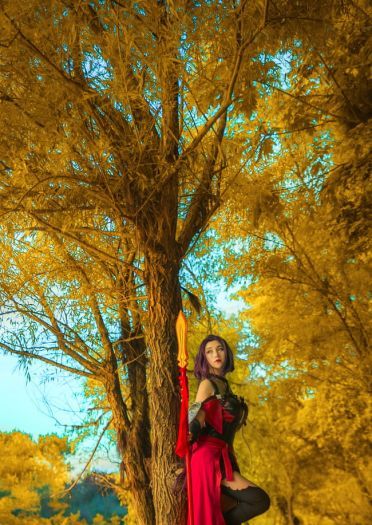 全职高手寒烟柔